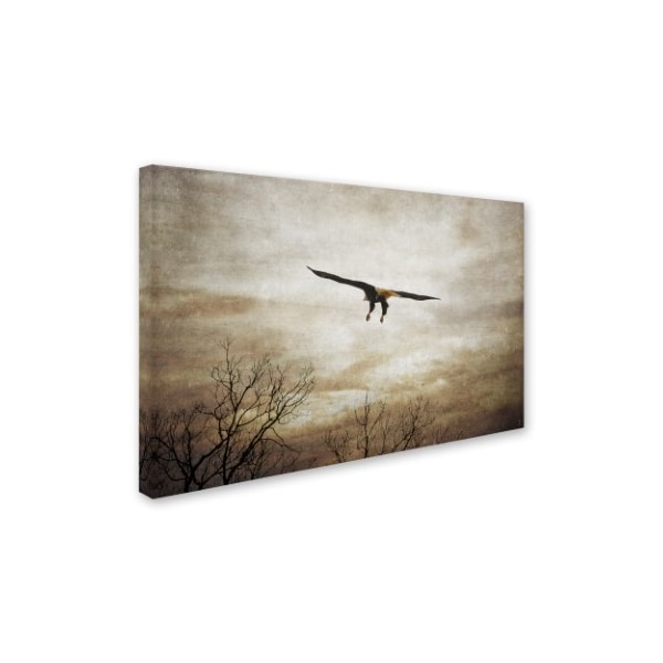 Jai Johnson 'Home Safely Bald Eagle' Canvas Art,12x19